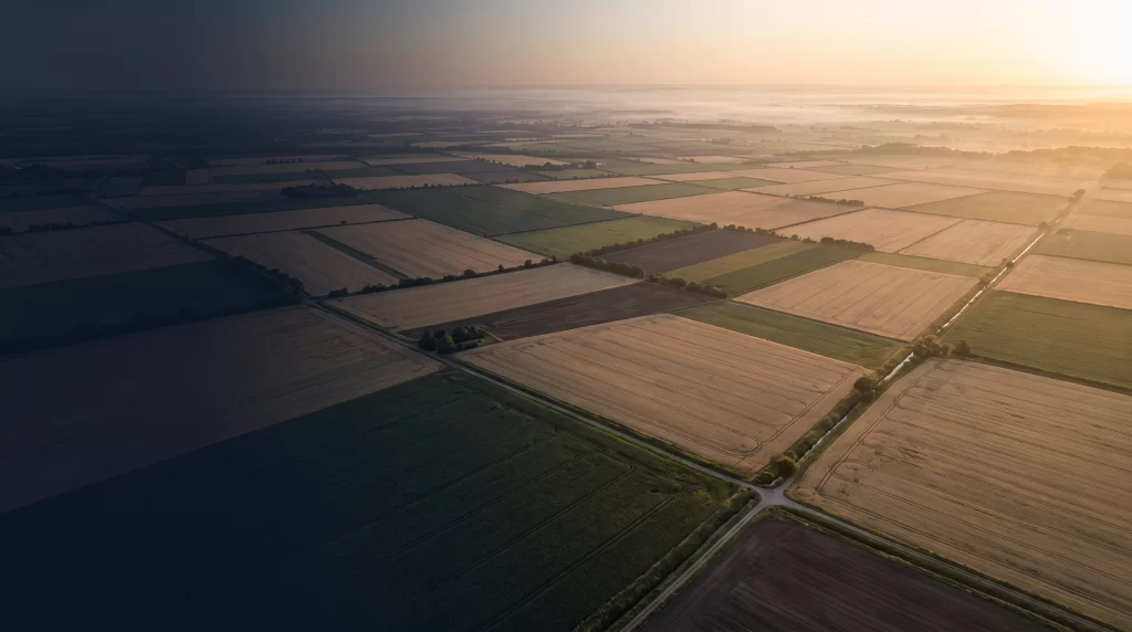 Land Developing